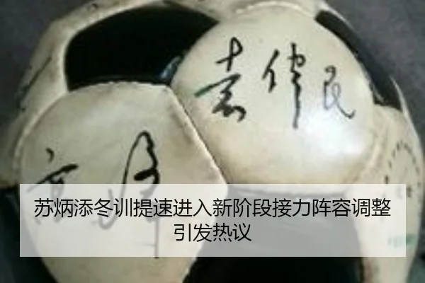 苏炳添冬训提速进入新阶段接力阵容调整引发热议